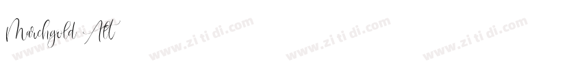 Marchgold Alt字体转换 Marchgold Alt字体转换